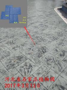 河北省石家庄市植物园压模压花地坪工程
