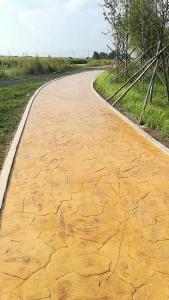 吉林省船营区大红土村压模压花地坪工程